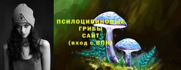 дмт Алзамай