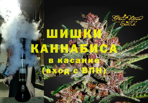 дмт Алзамай