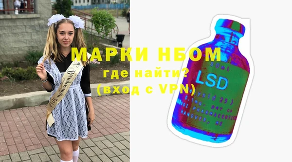 дмт Алзамай