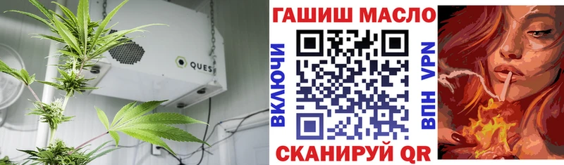 ОМГ ОМГ ТОР  Грайворон  ТГК гашишное масло 