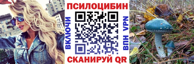 закладка  Грайворон  Псилоцибиновые грибы прущие грибы 