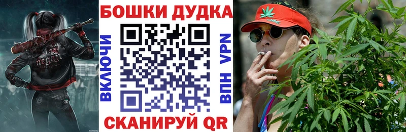 Канабис сатива Грайворон